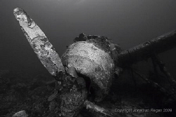 Japanese Sea Plane wreck in Palau by Jonathan Regan 